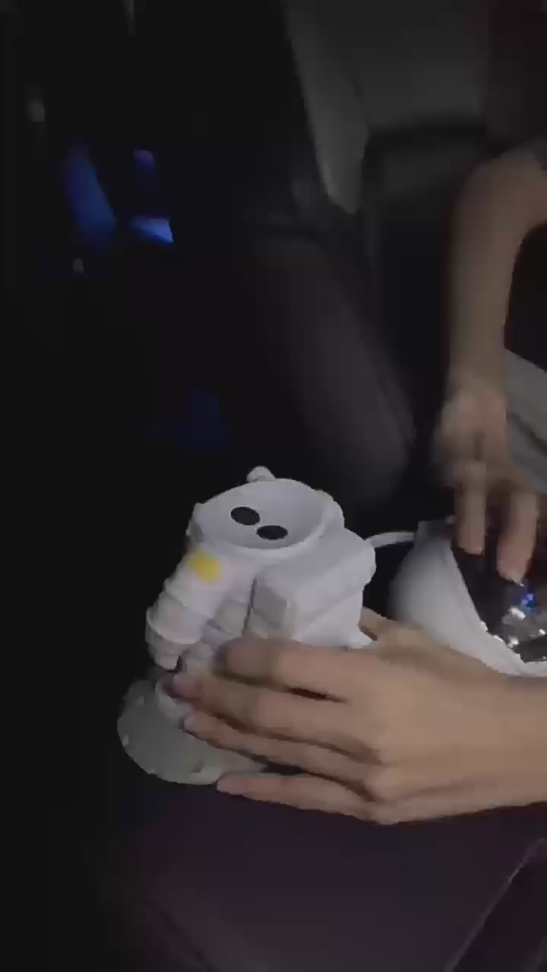 Galaxy Star Projector